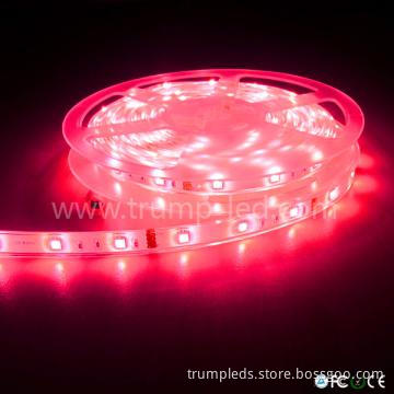 High Brightness  waterproof color changing outdoor led strip lights